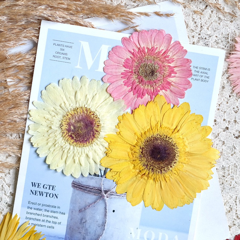 1pcs/7-9cm, Bunga Gerbera Keri - Resin Art Phone Case ulasan dan harga