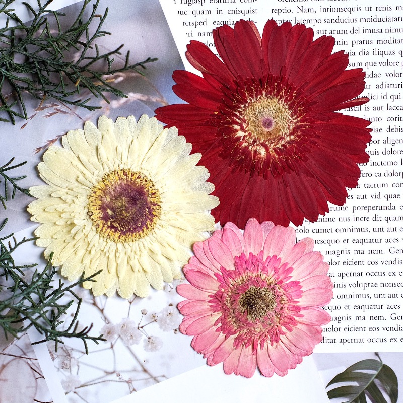 1pcs/7-9cm, Bunga Gerbera Keri - Resin Art Phone Case ulasan dan harga