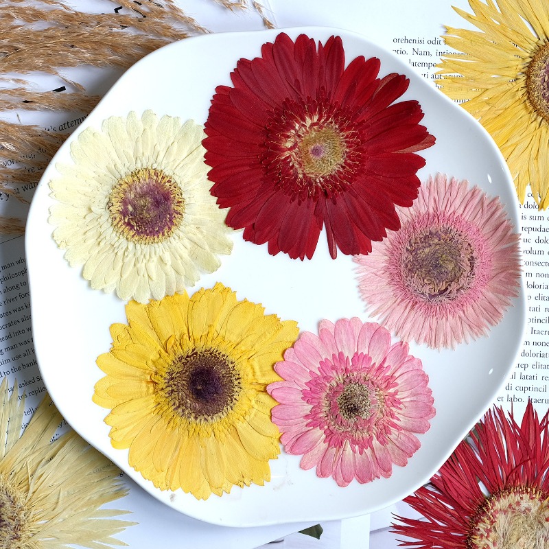 1pcs/7-9cm, Bunga Gerbera Keri - Resin Art Phone Case ulasan dan harga